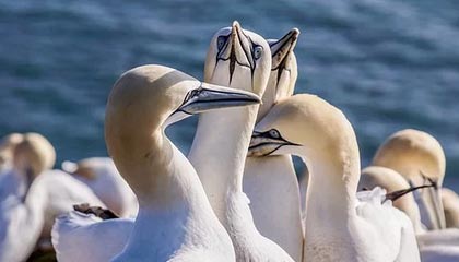 乐鱼体育App下载-运动员技能竞赛奖励机制，运动员技能竞赛奖励机制是什么