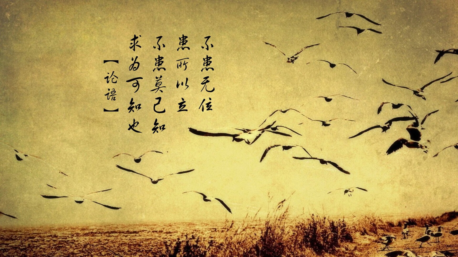 罗马尼亚队如何在国际乒联混合团体世界杯中充分发挥潜力，罗马尼亚乒乓球怎么样