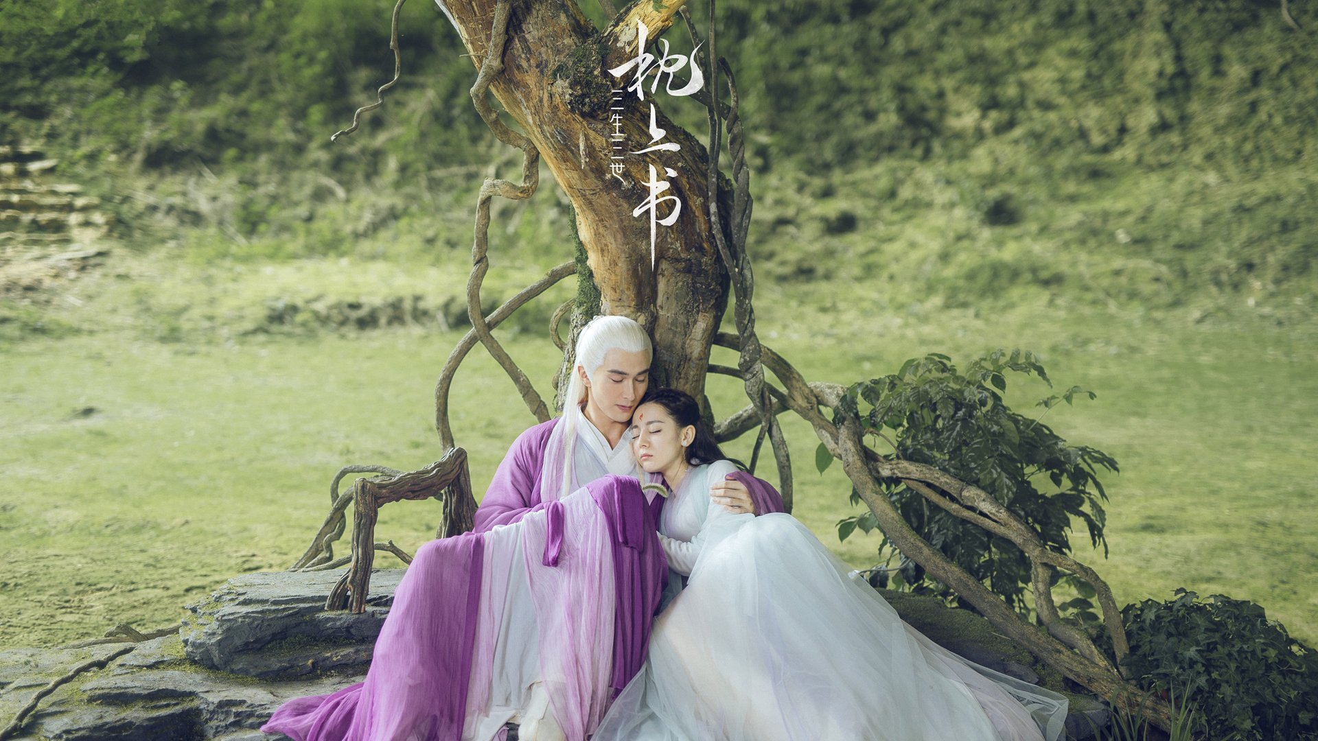 辽宁飞豹关键比赛经验丰富应对压力得当，辽宁飞豹官方