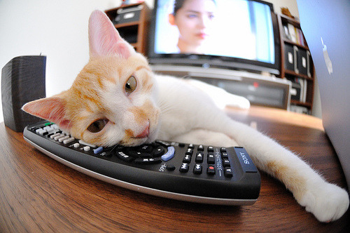 德甲战术录像分析方法创新,德甲录像回放pp体育