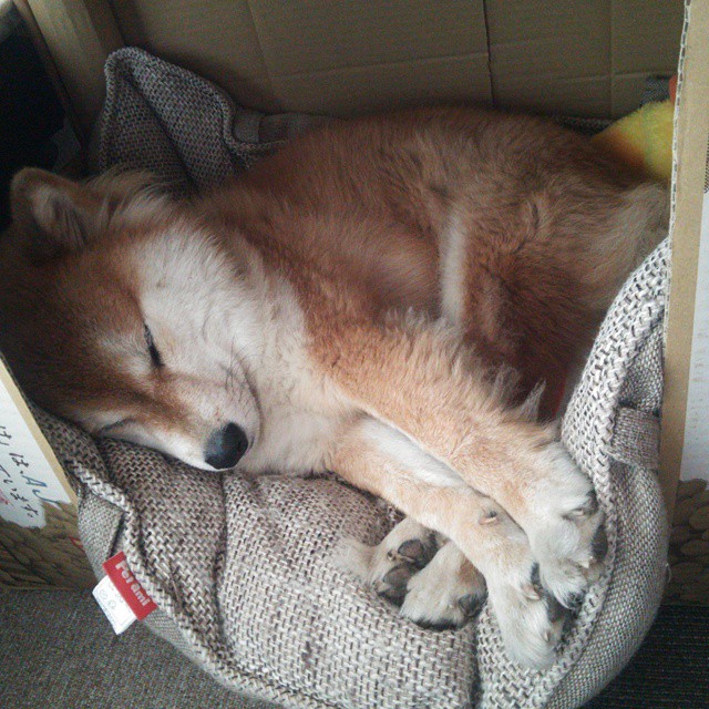 乐鱼电竞在线平台-欧洲杯史上最激烈的对抗：谁能笑到最后？，欧洲杯出现对阵