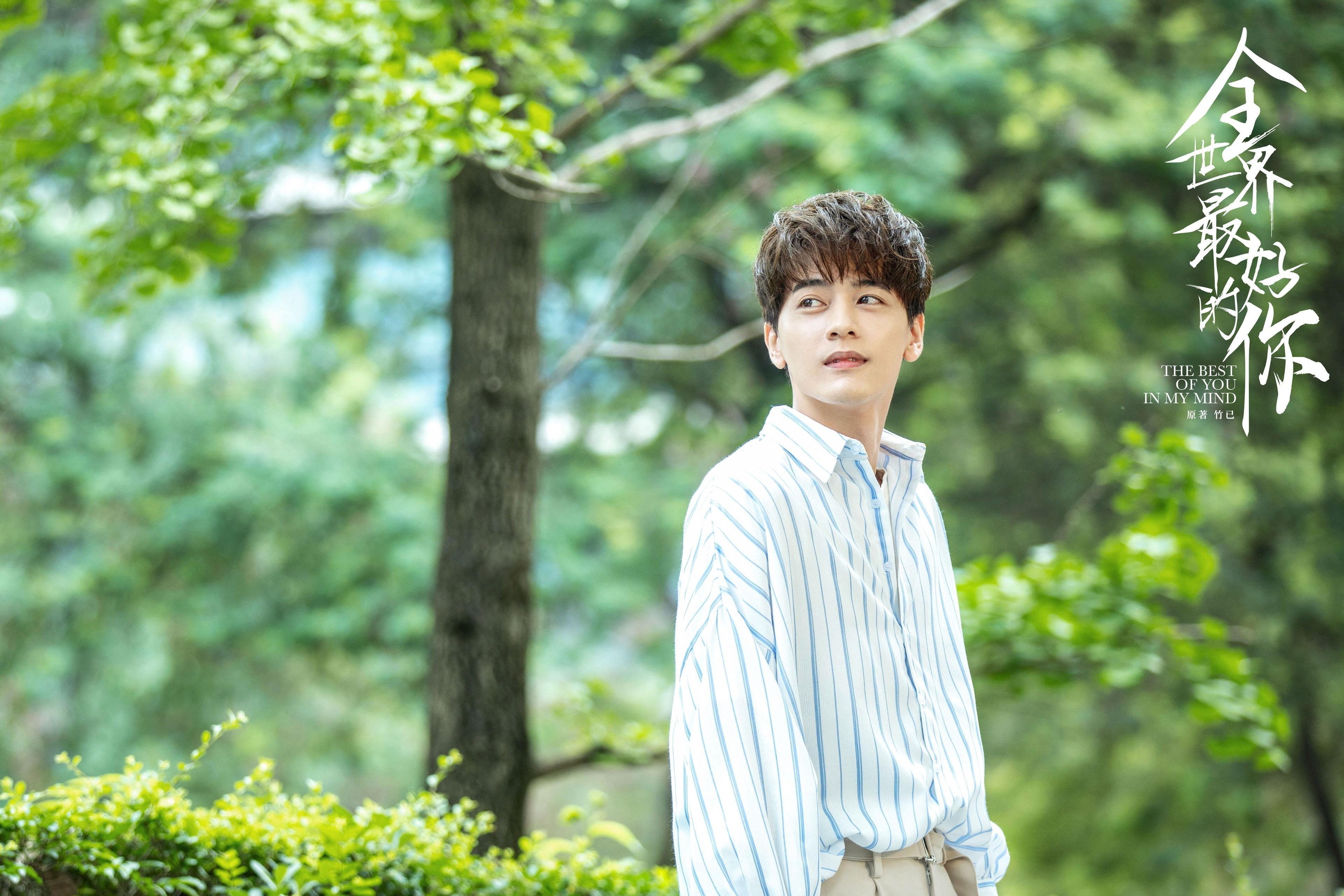 荷兰自由泳短程展现爆发力,荷兰自由泳名将