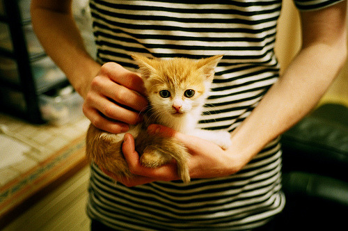 西甲天王帽子戏法：场上瞬间成经典，帽子戏法梅西多少个